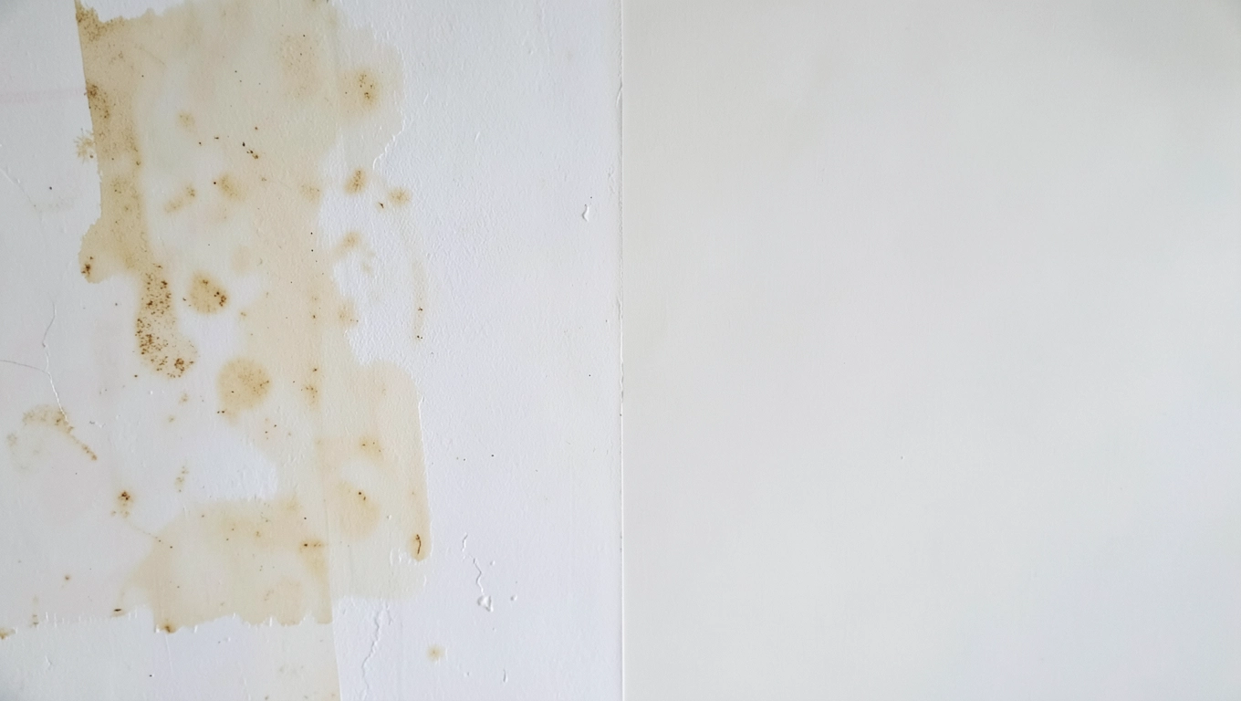 krycie i wydajność białych farb kuchennych