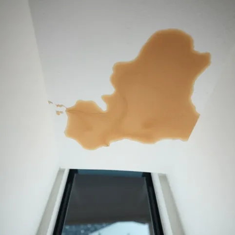 Badanie szczelności dachu cena