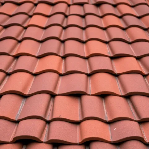 Cena dachówki Roben