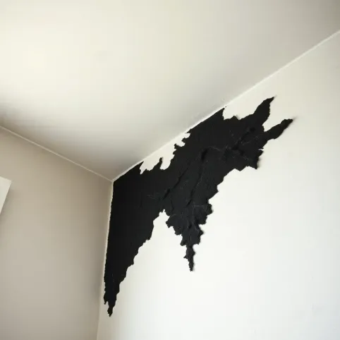 Co zrobić z grzybem na ścianie przed malowaniem