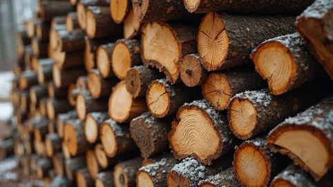 czeremcha drzewo opałowe