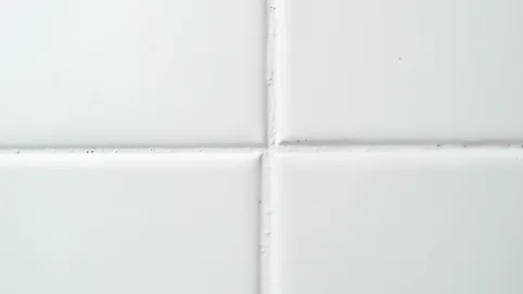 Czy akryl można malować