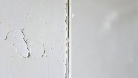 czy plyty gk sie gruntuje przed malowaniem