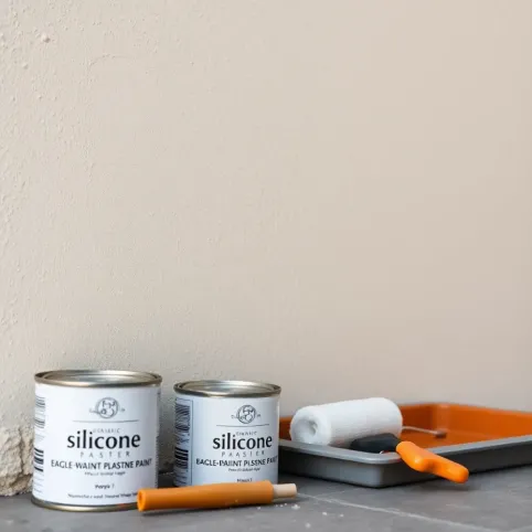 Czym malować tynk silikonowy