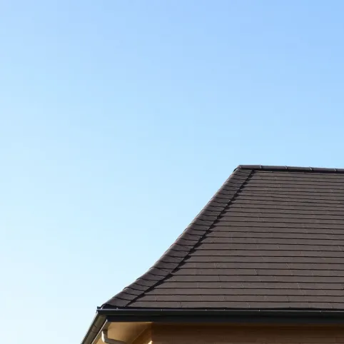 Dach stromy definicja