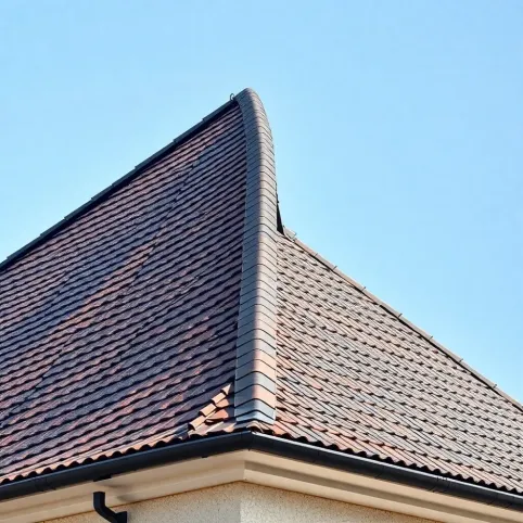 Dach stromy ile stopni