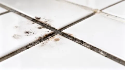 farba do malowania fug