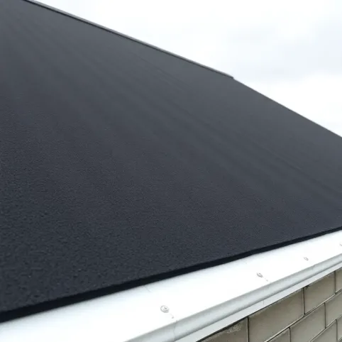 Folia w płynie na dach