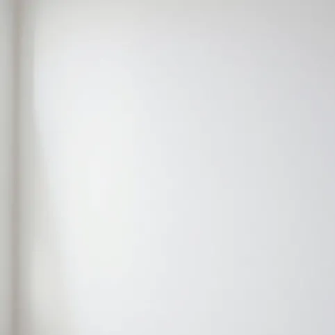 Grunt na gładź przed malowaniem