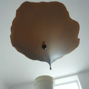 Jak sprawdzić gdzie przecieka dach