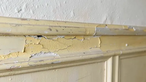 jak usunąć farbę olejną z tynku