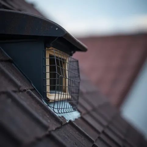 Jak zabezpieczyć dach przed kunami