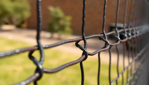 Jaki Abizol do malowania siatki