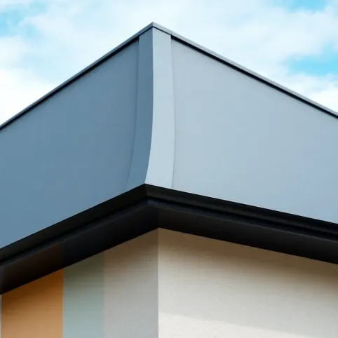 Jaki kolor tynku do czarnego dachu