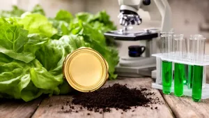 jednostki certyfikujące