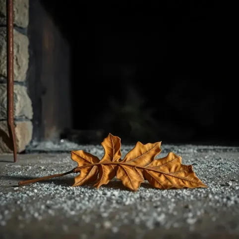 Latem śmierdzi z kominka jak się nie pali