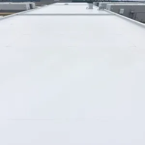 Membrana w płynie na dach