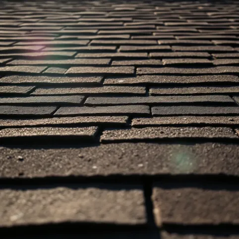 Papowanie dachu cena za m2