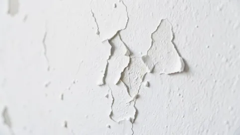 po jakim czasie mozna malowac po gruncie