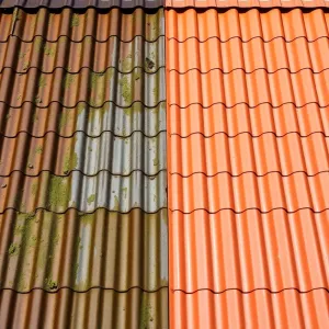 Środki do mycia dachów z blachy
