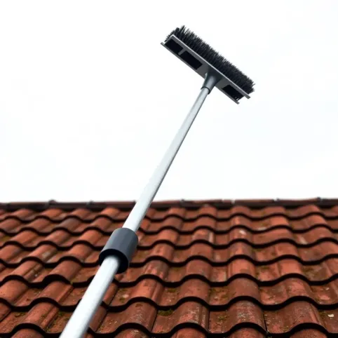 Teleskop do mycia dachu