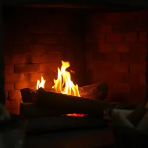 Zamknięcie do kominka