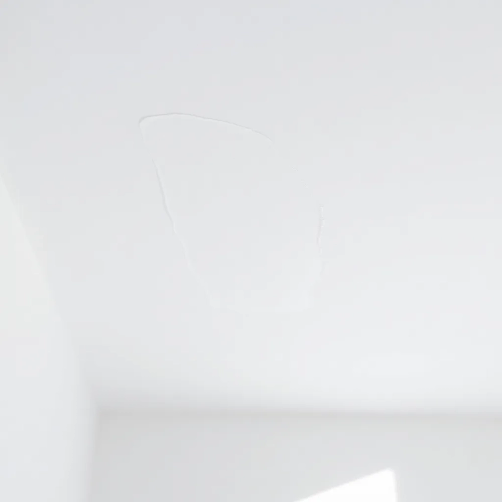 W którą stronę malować sufit